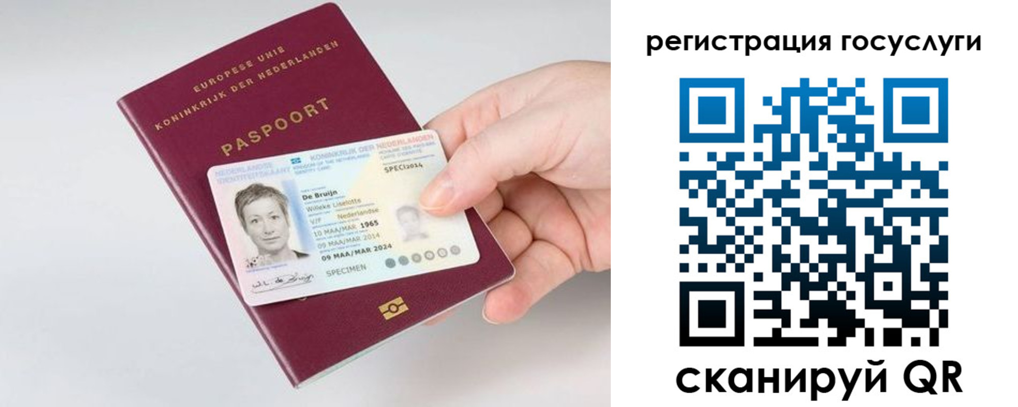 регистрация для дет. сада в Шадринске